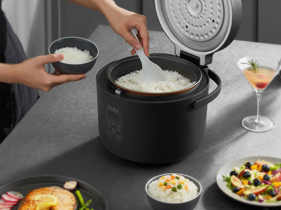 GR-S30A 3 ltr rice cooker